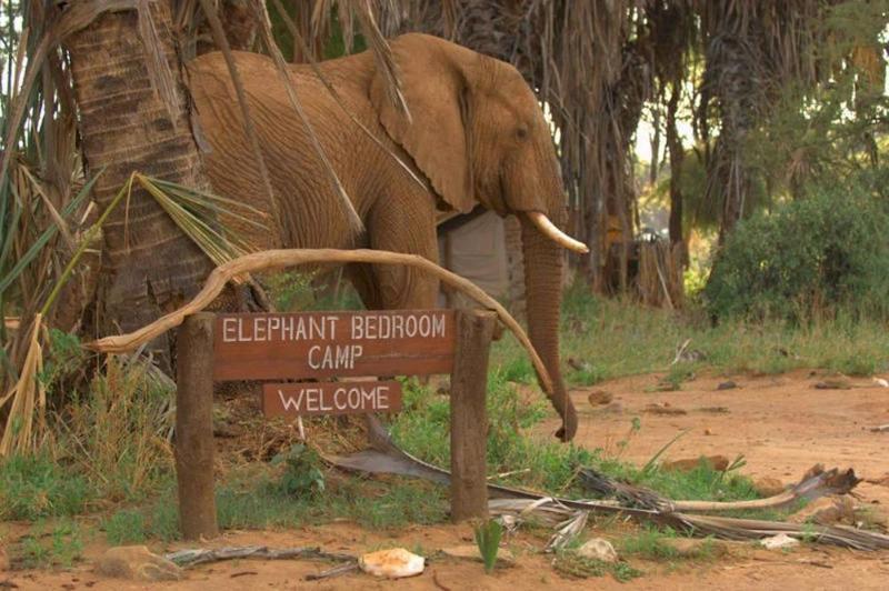 Elephant Bedroom Camp Archers Post Екстериор снимка